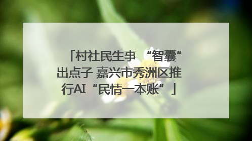 村社民生事 “智囊”出点子 嘉兴市秀洲区推行AI“民情一本账”